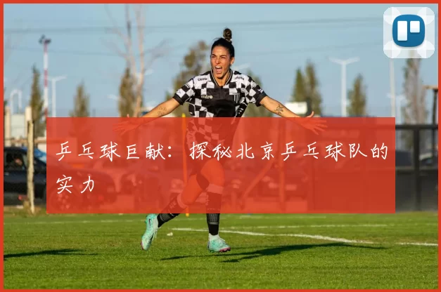 乒乓球巨献：探秘北京乒乓球队的实力