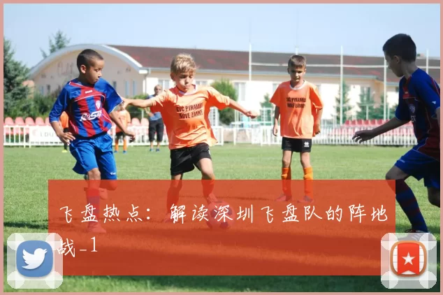 飞盘热点：解读深圳飞盘队的阵地战_1