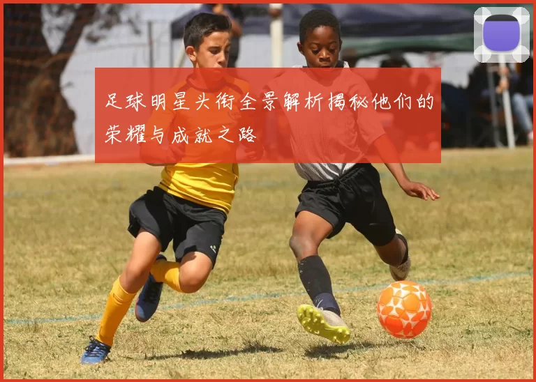 足球明星头衔全景解析揭秘他们的荣耀与成就之路