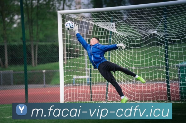 华体会体育注册平台生态图