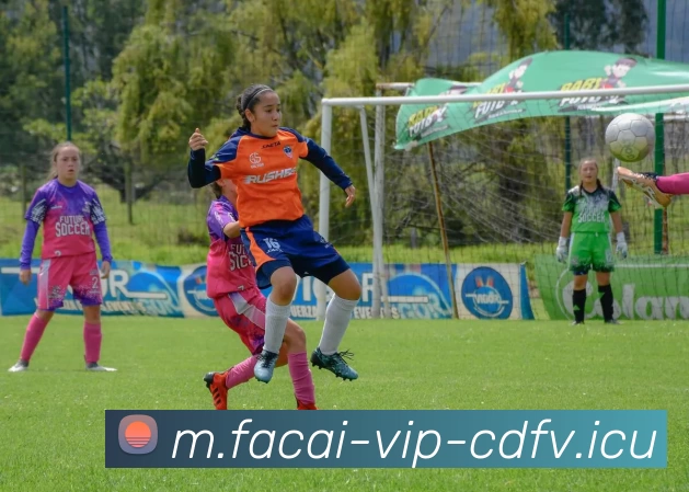 华体会体育注册APP 封面图